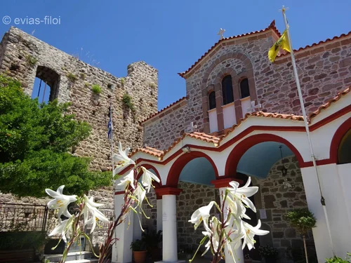 ΙΕΡΟΣ ΝΑΟΣ ΕΙΣΟΔΙΑ ΤΗς ΘΕΟΤΟΚΟΥ