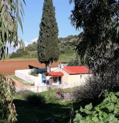 ΚΟΙΜΗΤΗΡΙΟ ΚΟΙΜΗΤΗΡΙΟ - Νέα Αρτάκη
